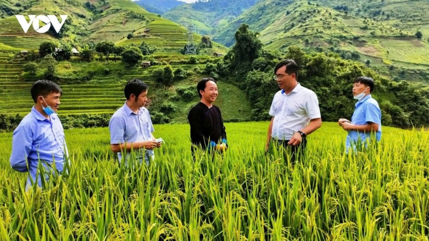 Circular agriculture - a must for Vietnam's green future